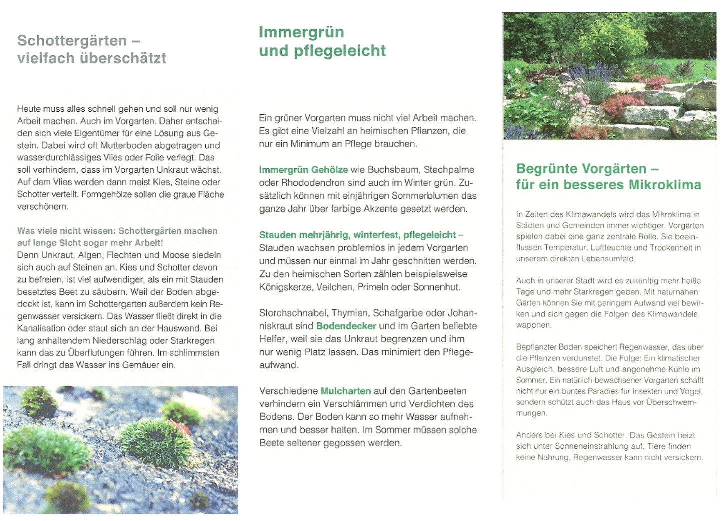 Flyer Schottergarten